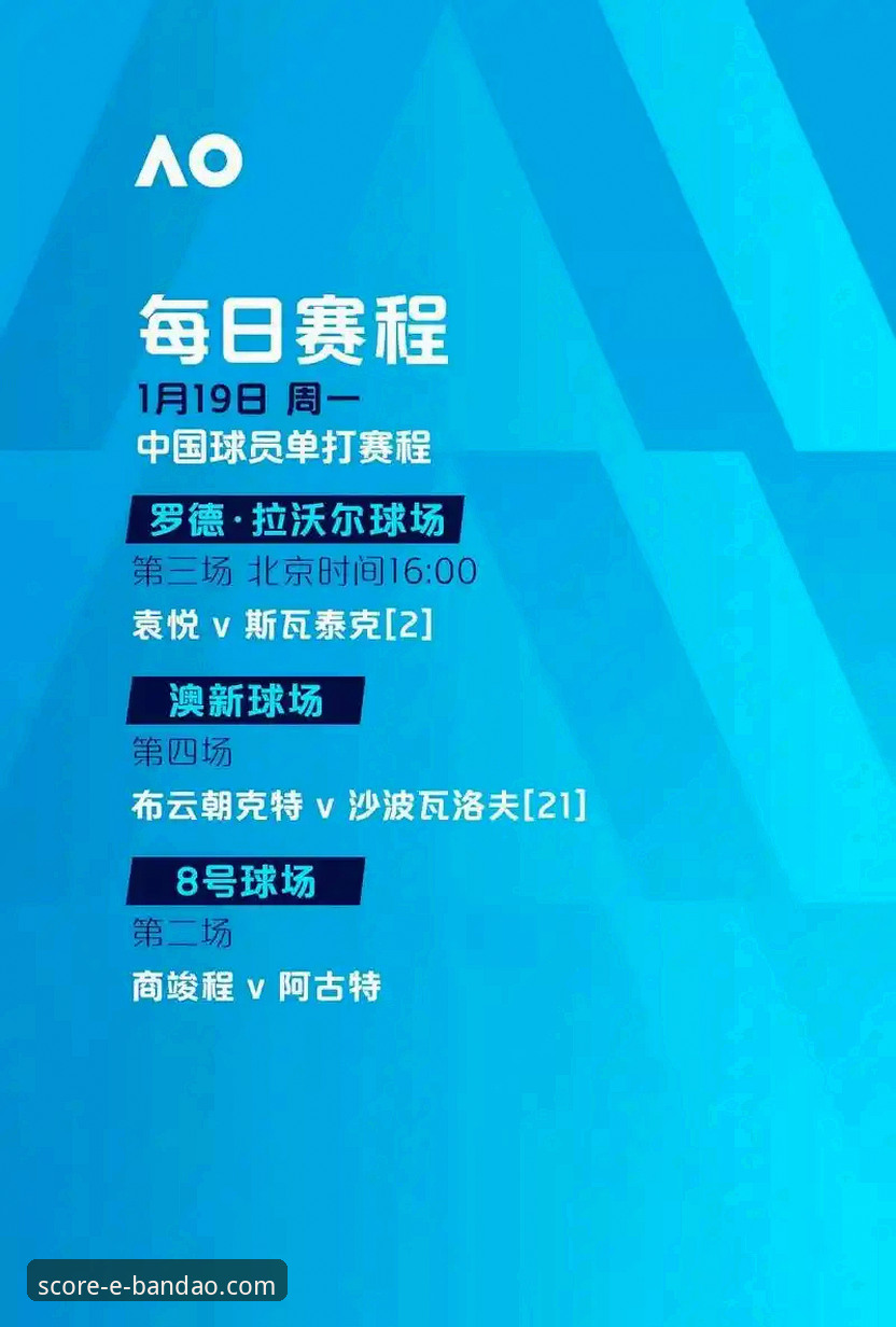 半岛体育平台深度分析：从数据实时性到赛事解析能力的全面评测
