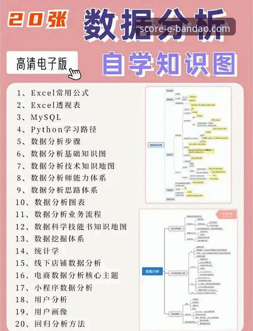 5个实用技巧助你掌握半岛数据分析攻略，从新手到高手的进阶之路