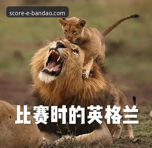 bandao实时比分 揭秘bandao实时比分背后的真相:你还在用传统方式看球吗?